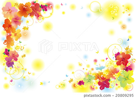 Hibiscus Background 20809295