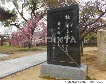 Sugawara Mamo's monument 20809522