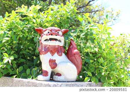 Shisa 20809581