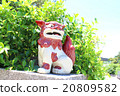 Shisa 20809582