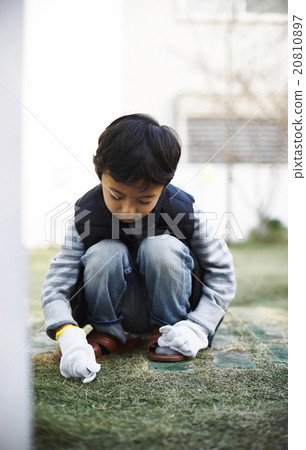 清洗花園的男孩 清洗花園的男孩 20810897