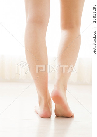 女人的腿 女人的腿 20811299