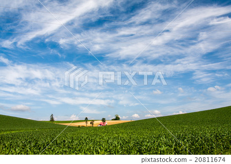 Biei Hokkaido Red roof house 20811674