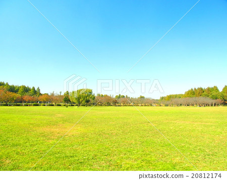 Autumn meadow and forest and blue sky landscape 20812174