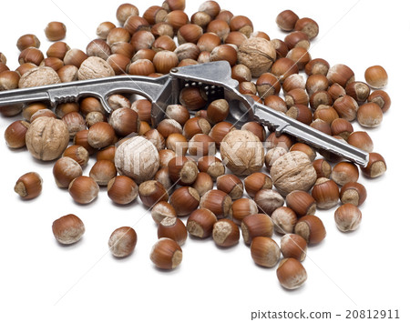 nutcracker and nuts 20812911