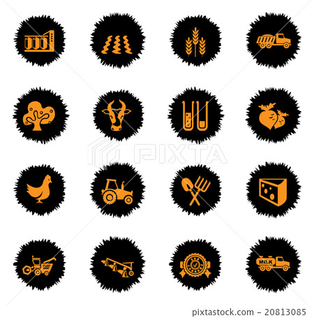 Agricultural icons set 20813085