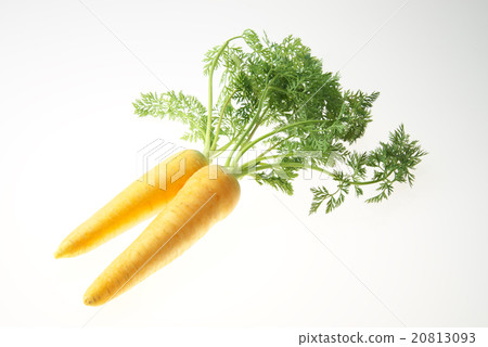 紅蘿蔔 紅蘿蔔 20813093