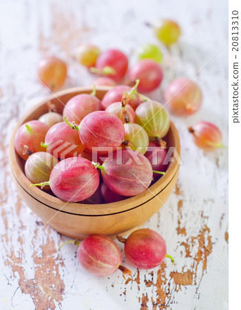 gooseberry 20813310