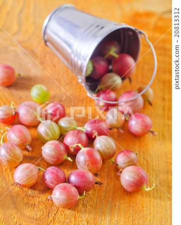 gooseberry 20813312