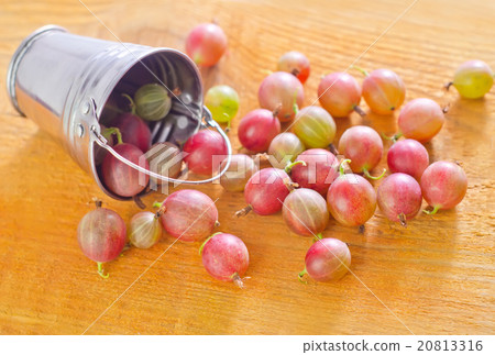 gooseberry 20813316
