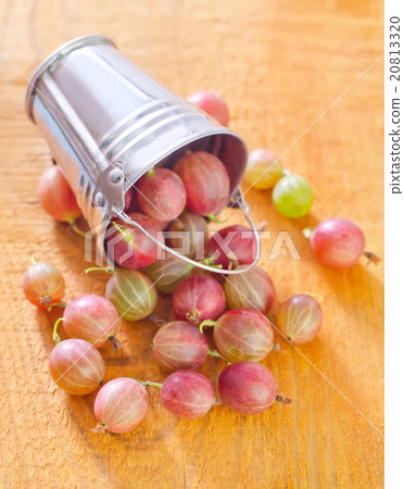gooseberry 20813320