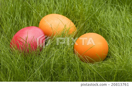 easter colored eggs easter colored eggs 20813761