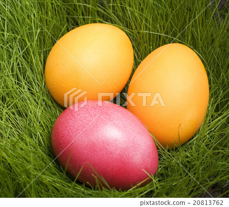 easter eggs easter eggs 20813762