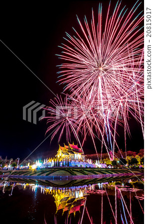 Firework in a night sky on Daddy Day 20815017