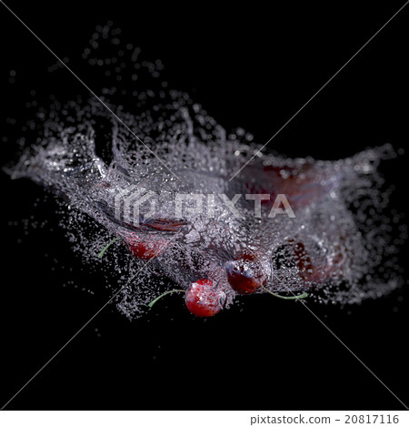 Cherries in Water Splash, isolated on Black. 20817116