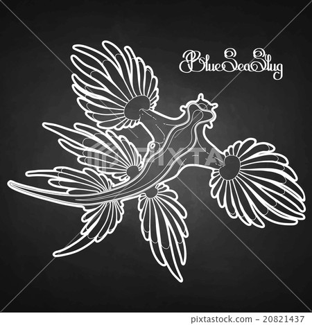 Graphic blue sea slug 20821437