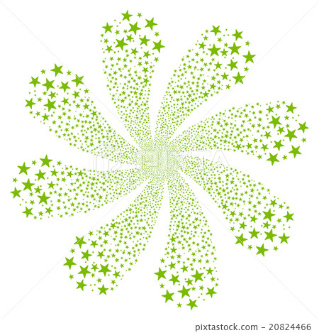 Star Salute Flower With Eight Petals 20824466