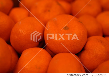 Mandarin orange Mandarin orange 20827496
