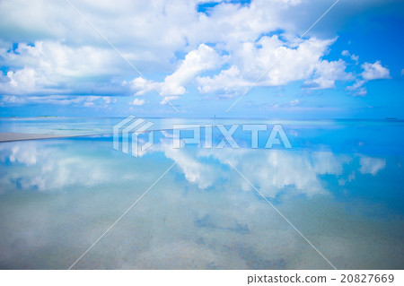 Luxury infinity swimming pool in the tropical 20827669