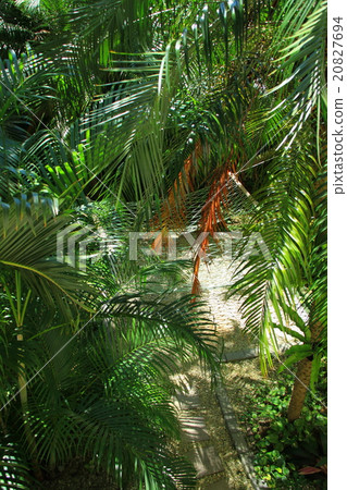 Resort image 20827694