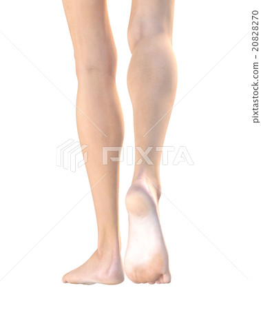 Ideal women's leg body Parts perming 3DCG illustration material 20828270