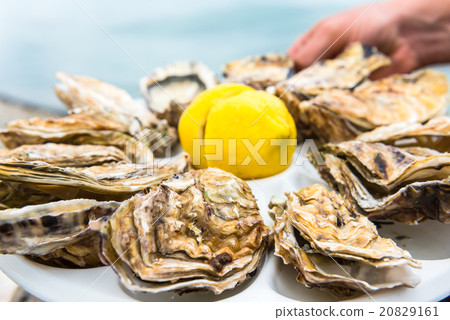 Male hand holding oysters Male hand holding oysters 20829161