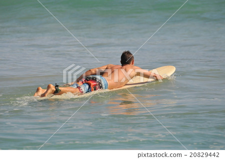 Sports012：衝浪@USA>夏威夷>考艾島>凱阿利亞海灘 20829442