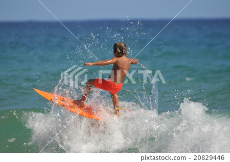 Sports008: Surfing @USA> Hawaii> Kauai island> Kealia Beach 20829446