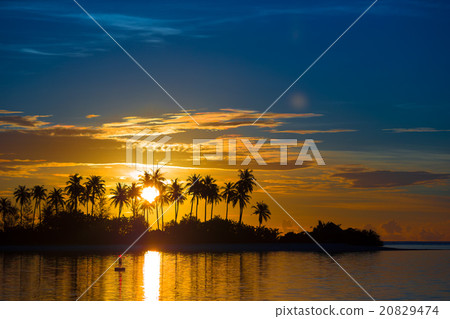 Dark silhouettes of palm trees and amazing cloudy 20829474