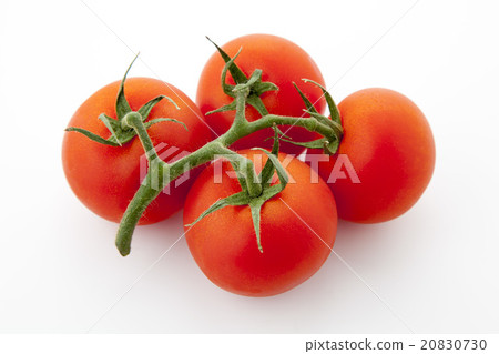 Kokumi番茄中等位置高角度 20830730