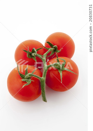 Kokumi與番茄在位置莖 20830731