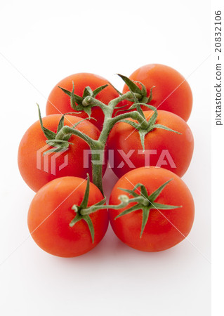 Kokumi與番茄在位置莖 20832106