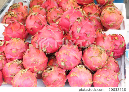Exotic bright red Dragon Fruit Exotic bright red Dragon Fruit 20832318