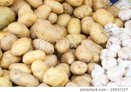 Potato and garlic Potato and garlic 20832337