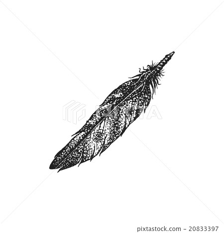 hand drawn indian feather vintage illustration. - Stock Illustration ...