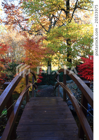 nice autumn background 20833975