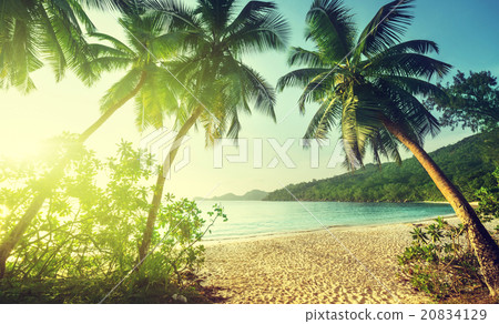 sunset on the beach, Mahe island, Seychelles 20834129