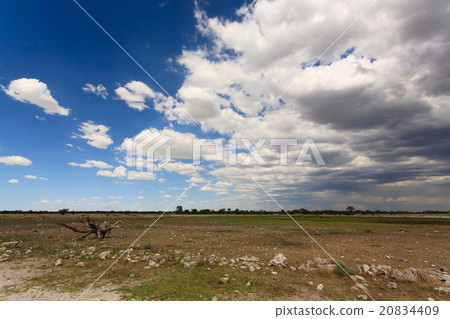 Etosha panorama 20834409