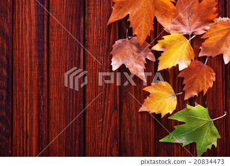 autumn background autumn background 20834473