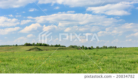 Field and sky 20834782