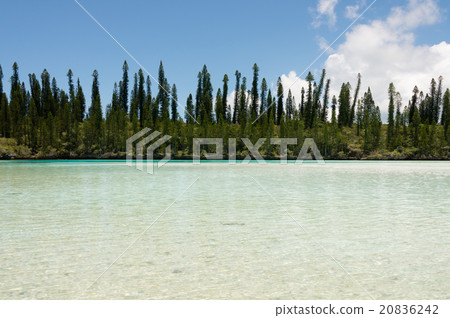 Pischenne Naturrel (New Caledonia, Ille des bains) 20836242