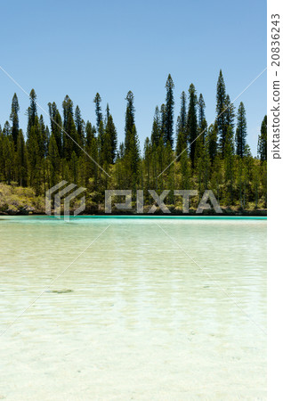 Pischenne Naturrel (New Caledonia, Ille des bains) 20836243