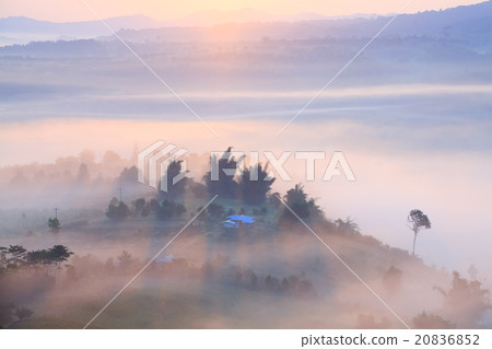 Misty morning sunrise in Khao Takhian Ngo Misty morning sunrise in Khao Takhian Ngo 20836852