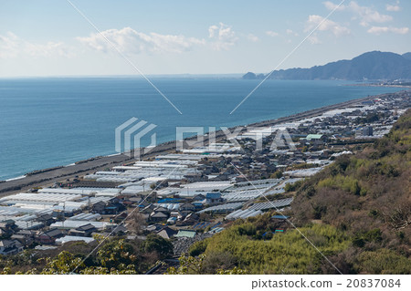 Suruga Bay coast where Ishigaki strawberry plastic houses line up, Kunozan, Shizuoka prefecture Suruga Bay coast where Ishigaki strawberry plastic houses line up, Kunozan, Shizuoka prefecture 20837084