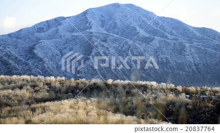 麻生太郎 20837764