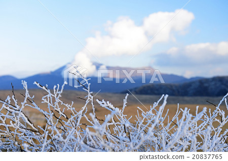 麻生太郎 20837765