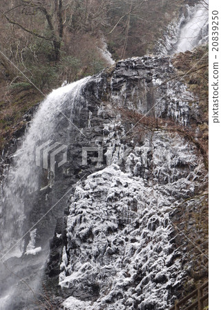 White boar waterfall 20839250