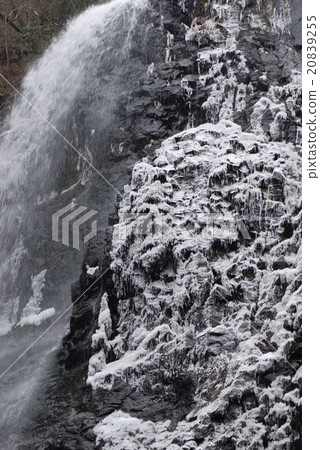 White boar waterfall White boar waterfall 20839255