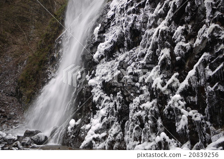 White boar waterfall White boar waterfall 20839256