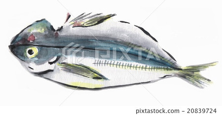 Opening of a horse mackerel (watercolor picture) 20839724